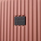 Cruisair Cabin suitcase